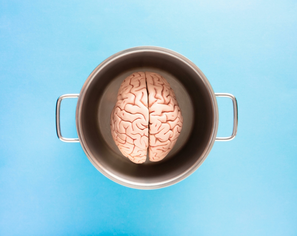 Cerveau dans une casserole