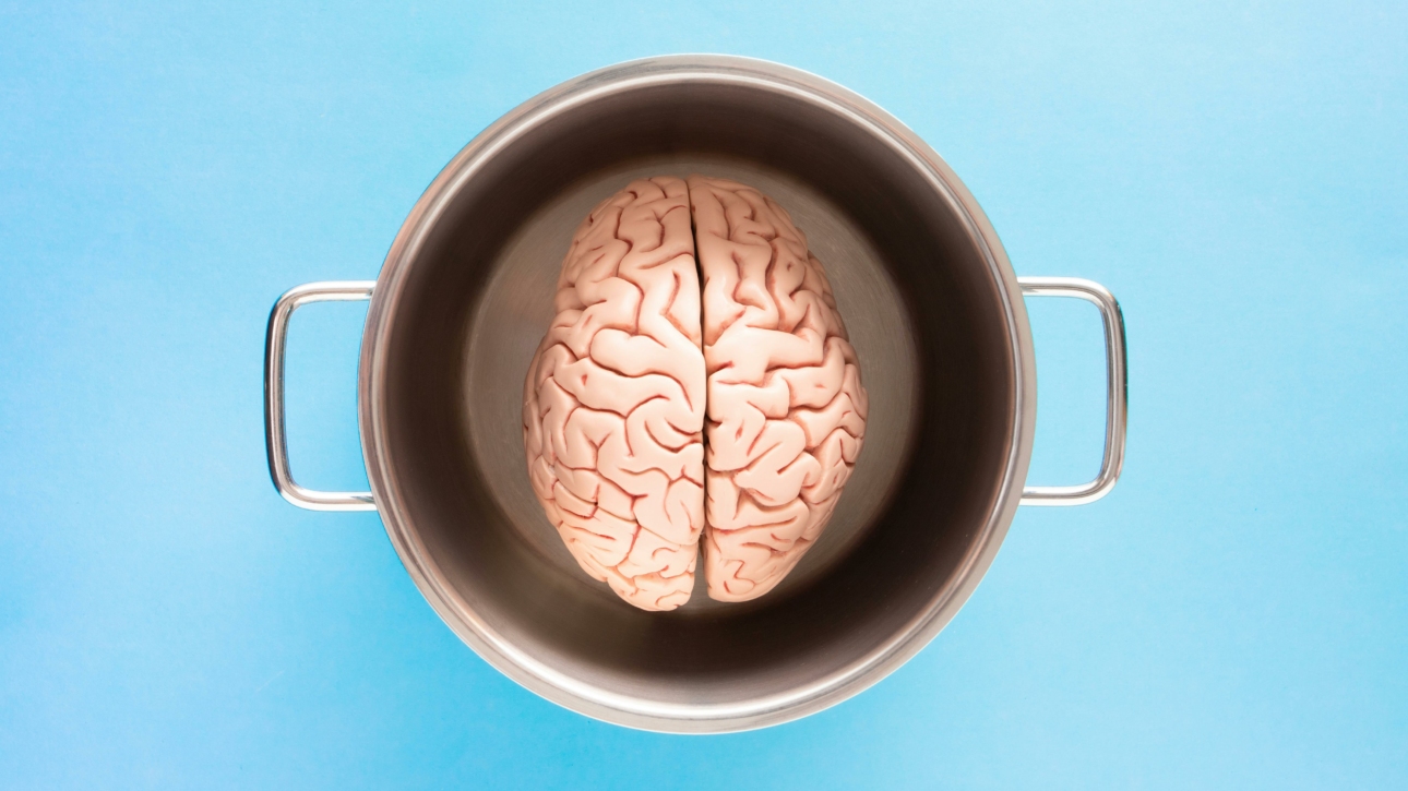 Cerveau dans une casserole