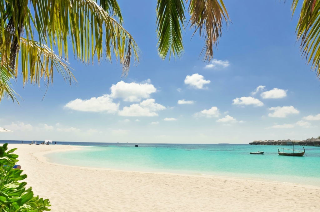 Paysage paradisiaque de plage et sable