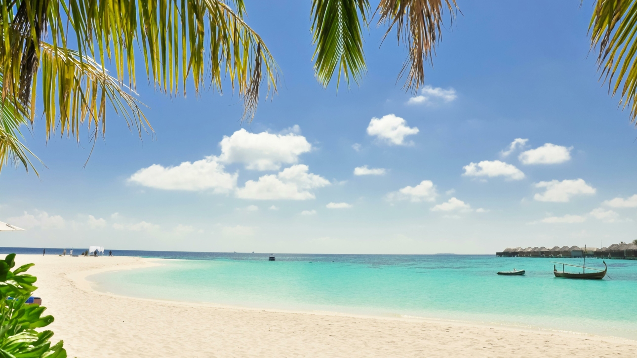 Paysage paradisiaque de plage et sable