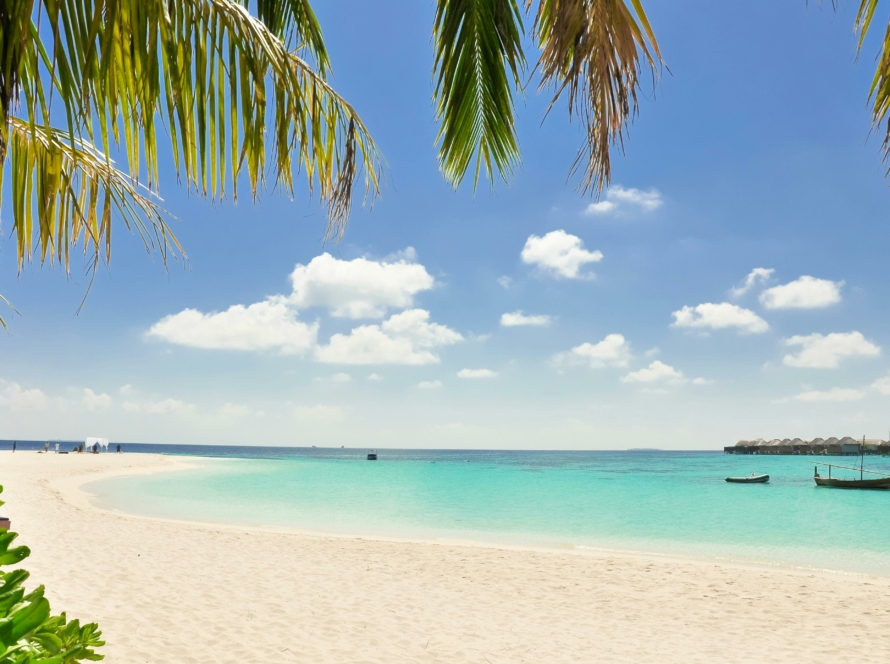 Paysage paradisiaque de plage et sable