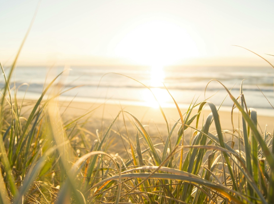 Paysage d'une plage avec lever de soleil